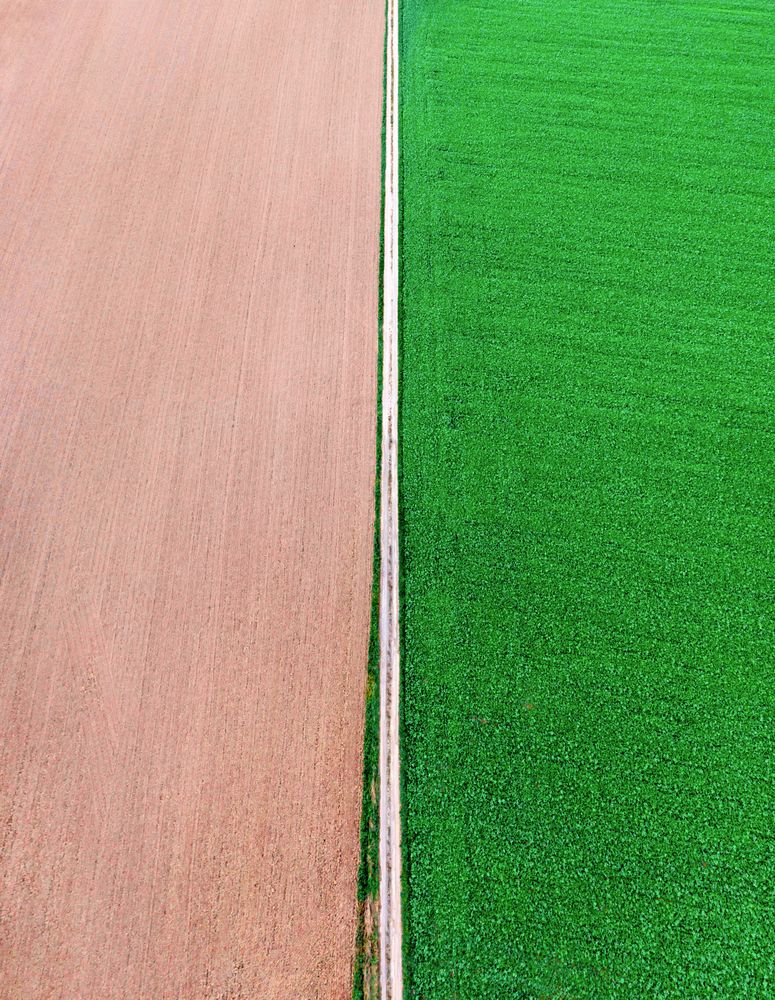 Drone vertical panorama with agricultural fields and countryside road