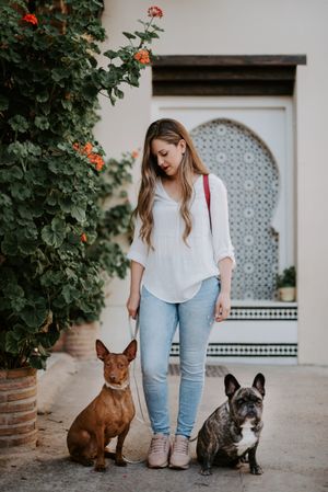 Stylish woman with dogs standing on street
