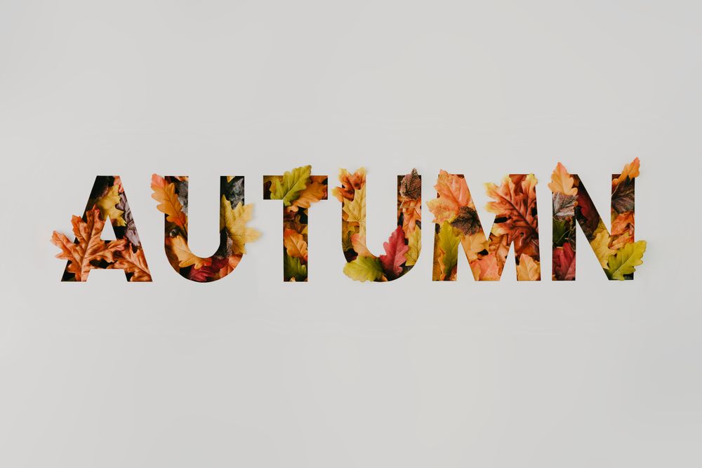 “AUTUMN” with colorful leaves cut out of light paper
