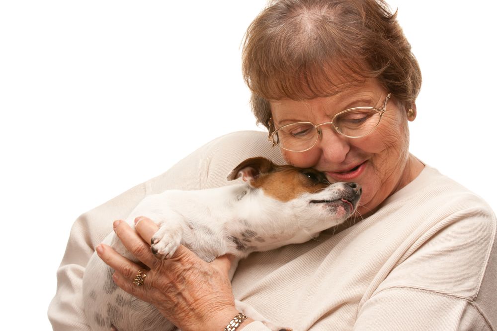 Happy Older Woman with Puppy on White
