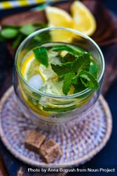 Top of gin and tonic cocktail with lemon and mint 4AzjNY
