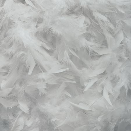 Bright light feather texture
