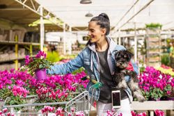 Smiling Hispanic woman with dog choosing potted plants