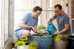 Two men water plant on their balcony