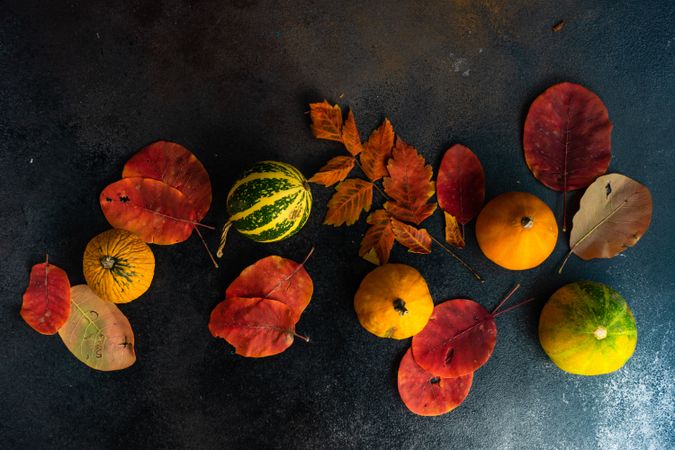 Top view of colorful autumn leaves with gourds