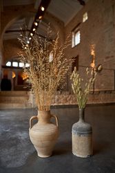 Dry plants in old vases