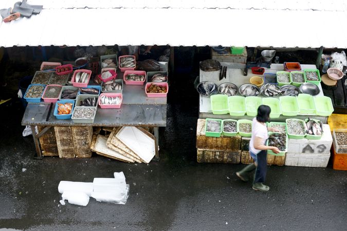 Person arranging fish to vend at fish market