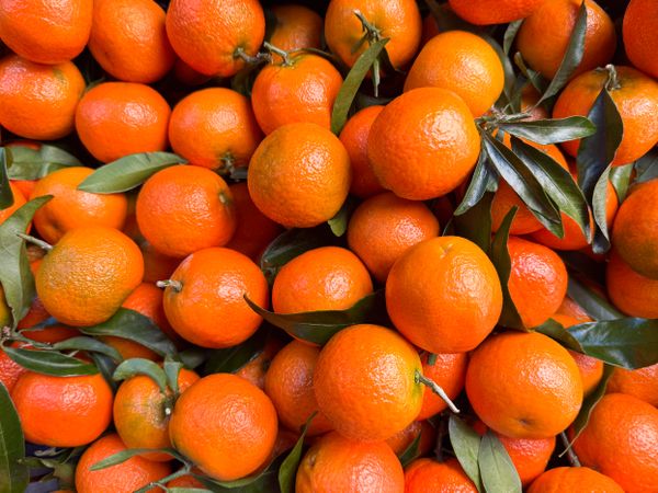 Tangerines for sale