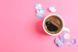 Cup of coffee with petals of flower on color background, space for text