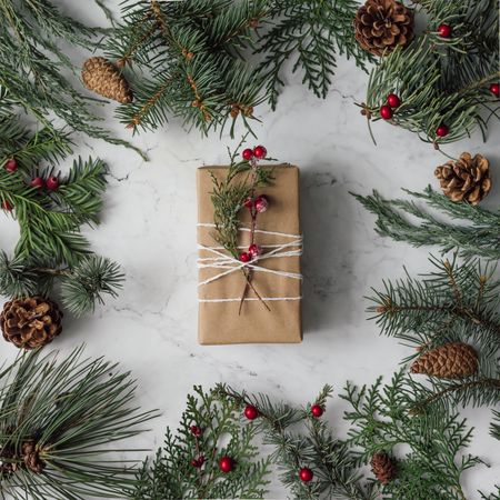 Winter foliage with pine cones bordering marble background with brown present