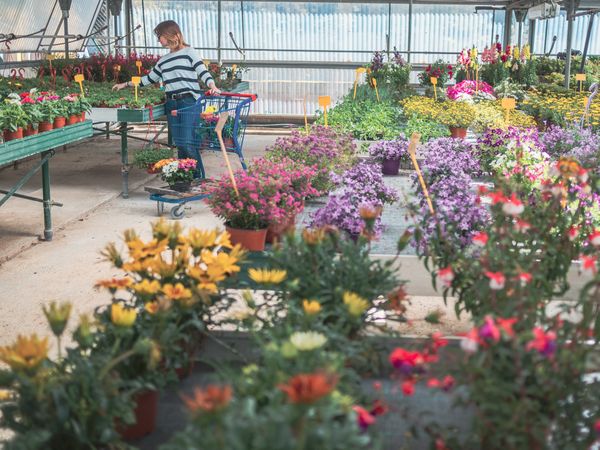 Female customer with cart on flower market