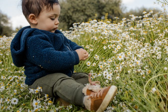 Toddler sitting in a daisy field