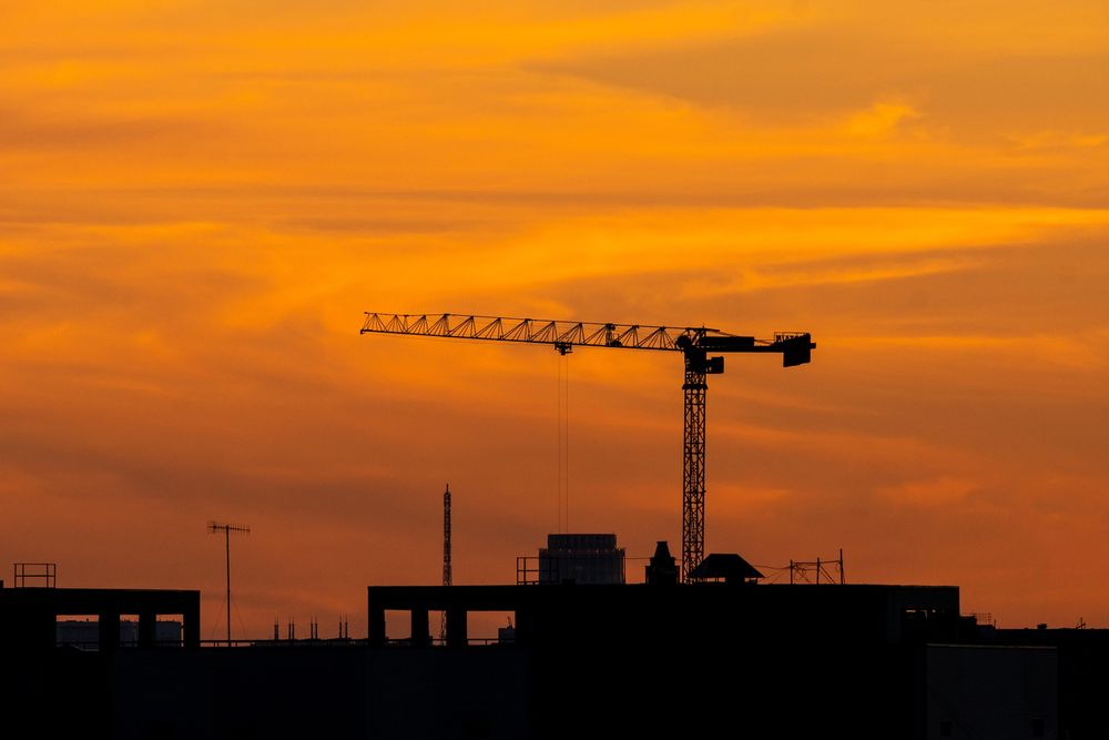 Silhouette of crane at sunset