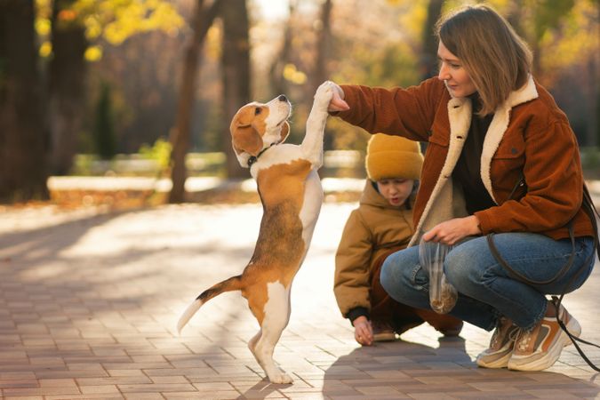 Family walks the dog