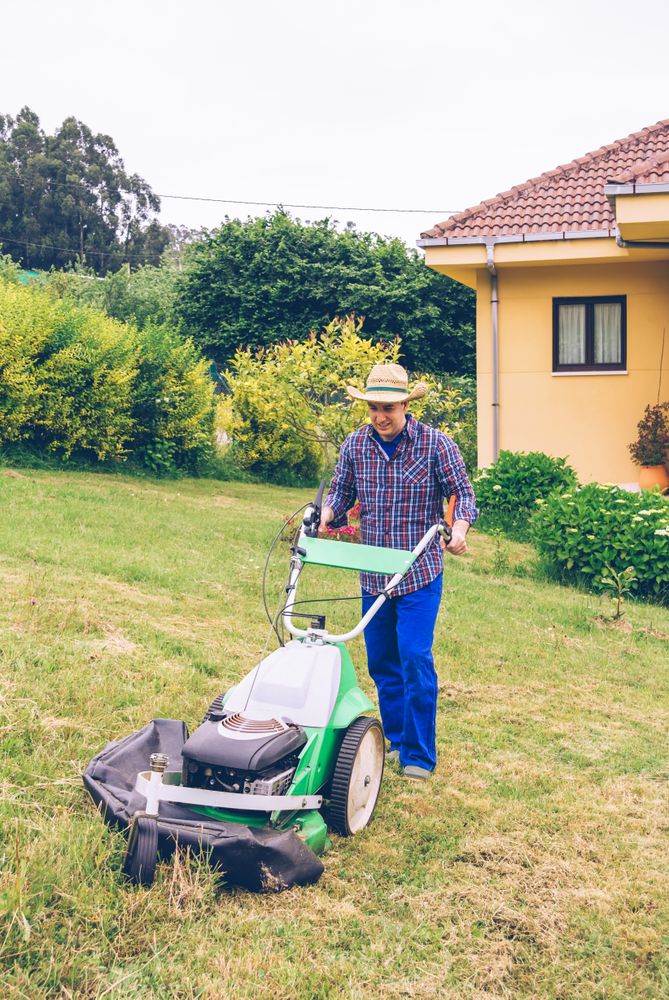 Young man mowing the lawn with lawnmower