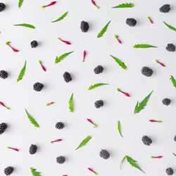Pattern of blackberry fruit and leaves on light background