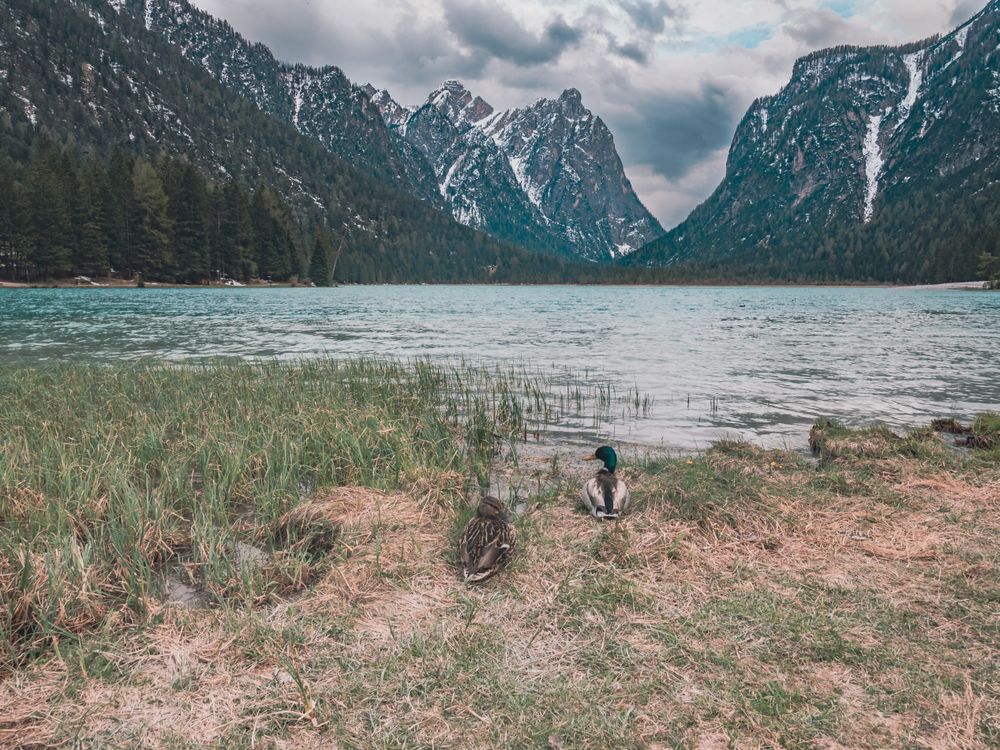 Amazing lake near mountains