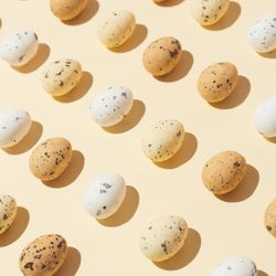 Speckled eggs  in rows on pastel yellow background