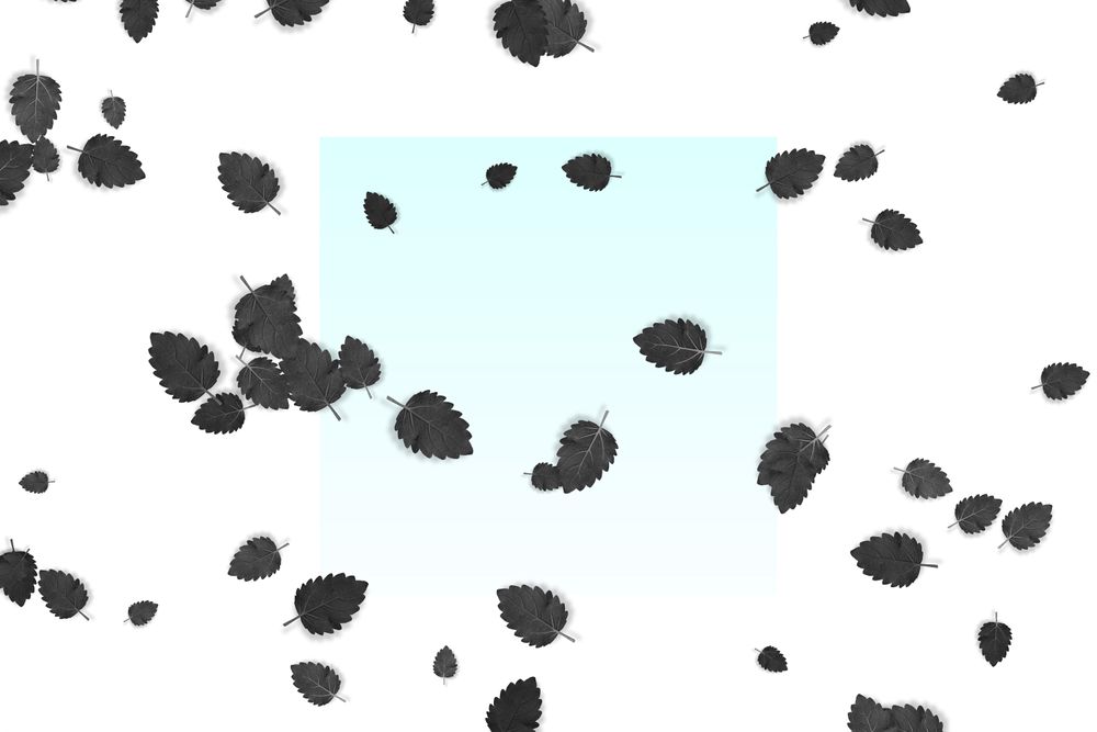 Scattered multi-colored leaves on bright background