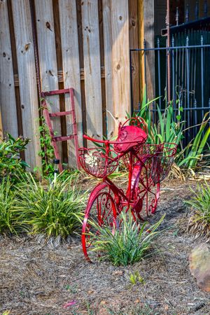 A red bicycle in a garden
