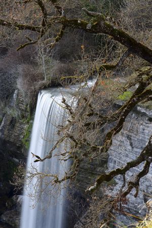 Autumn tree and waterfall