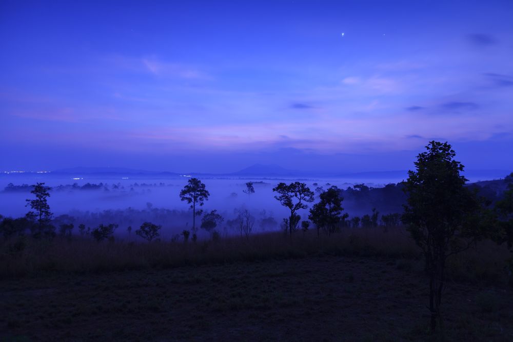 Landscape fog in morning sunrise at Thung Salang Luang National Park Phetchabun,Tung slang luang is Grassland savannah in Thailand