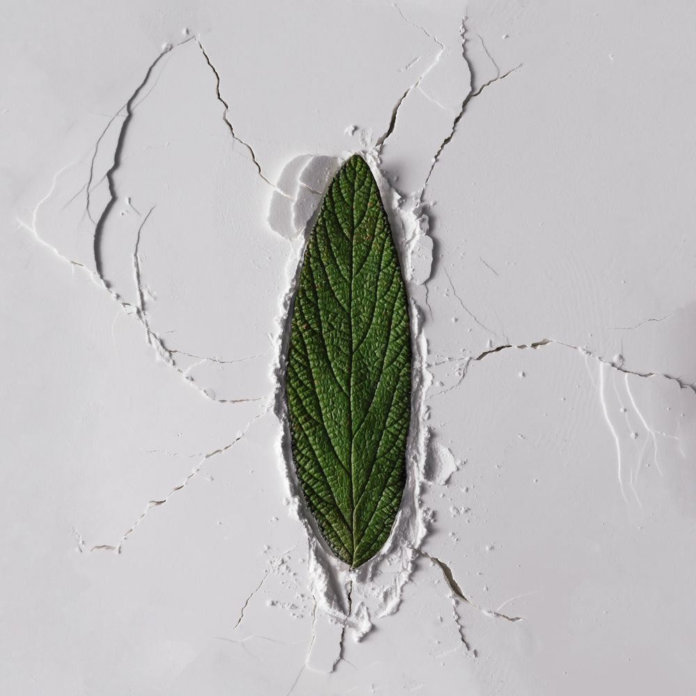 Powder texture with leaf and cracks