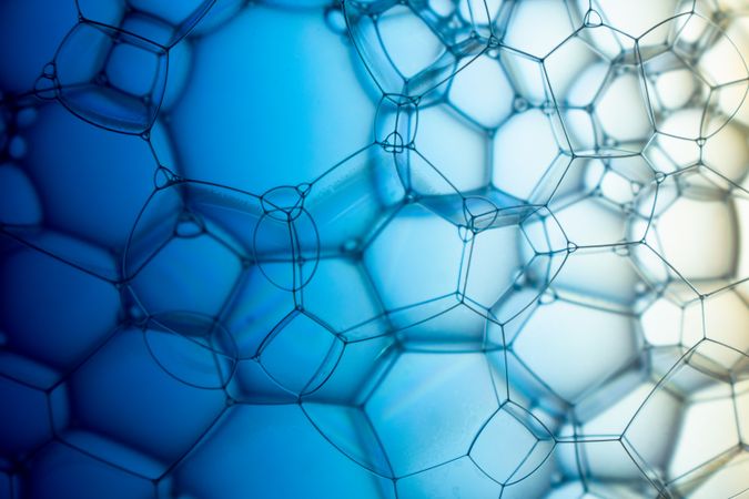 Abstract background bio technology, macro photography foam and water with gradient background. Molecule multicolor backgorund