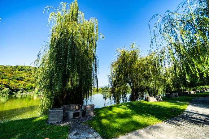 Lopota lake with willow trees