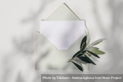 Closeup of empty greeting card, invitation mockup with mint green envelope and olive tree branch 48wVK5
