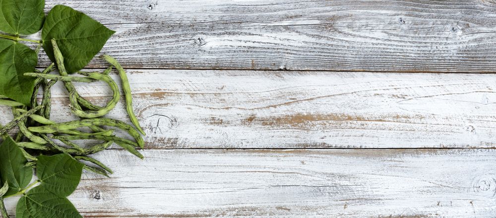 Overhead view of green pole beans freshly harvested on rustic wood