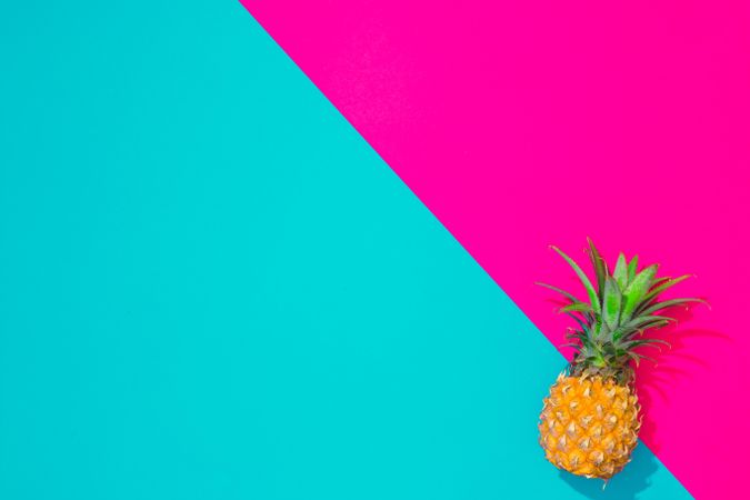 Pineapple on bright blue and pink background