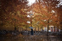 Person with umbrella walking on street