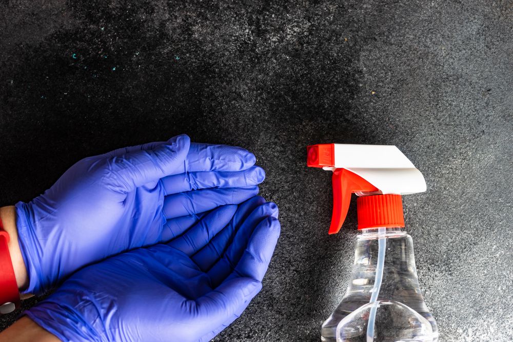 Top view of hands wearing purple latex gloves next to spray bottle