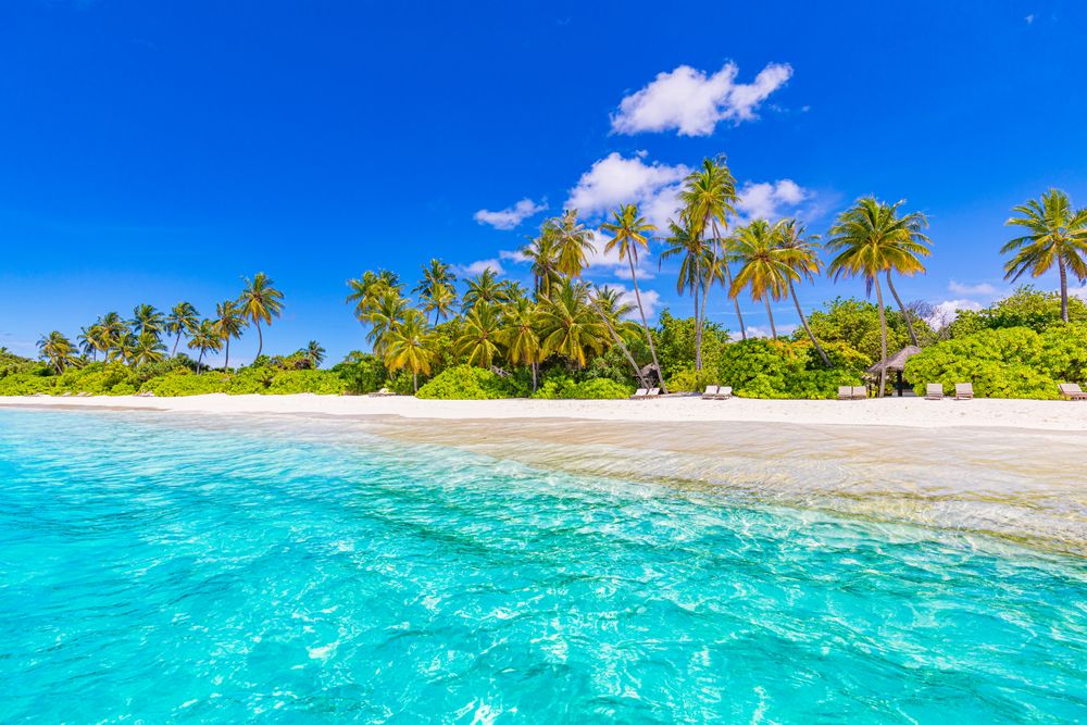 Beach with lounge chairs and palm trees in the Maldives