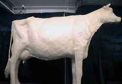 “Butter cow" sculpture,  Iowa State Fair, Des Moines, Iowa B5axa0