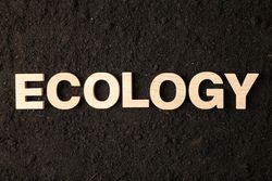 Inscription ecology on soil background, space for text. Environmental protection
