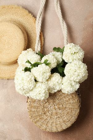 Composition with hydrangea flowers. Spring vibes. Female concept