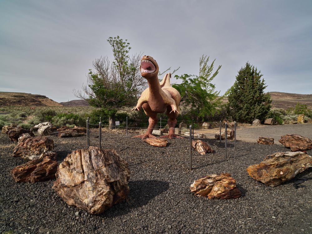 Dinosaur statue outside the Ginkgo Gem Shop, Vantage, Washington
