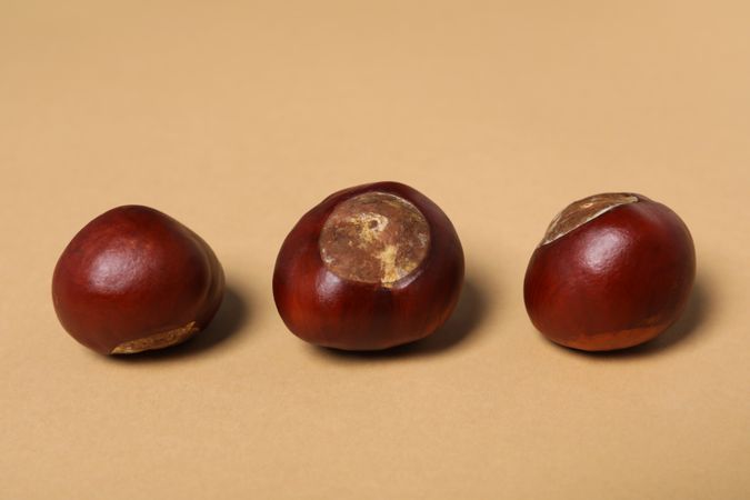 Fresh and ripe chestnuts, close up, Autumn chestnuts