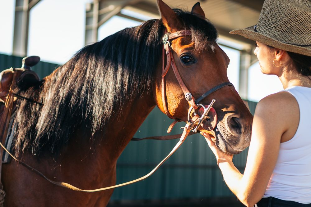 Woman taking care of his brown horse in an equestrian center