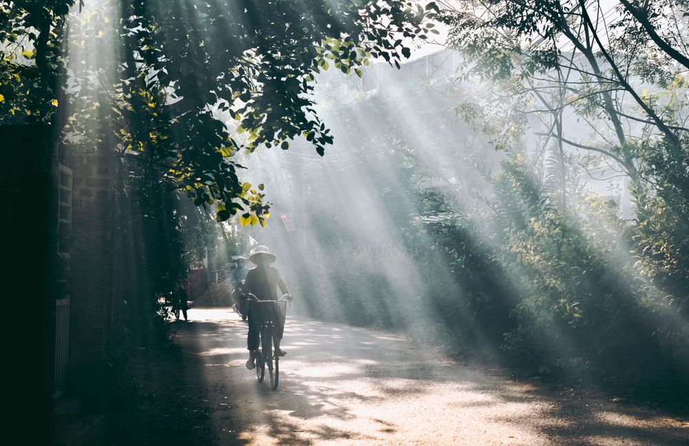 Person with a hat riding a bicycle under tree during daytime