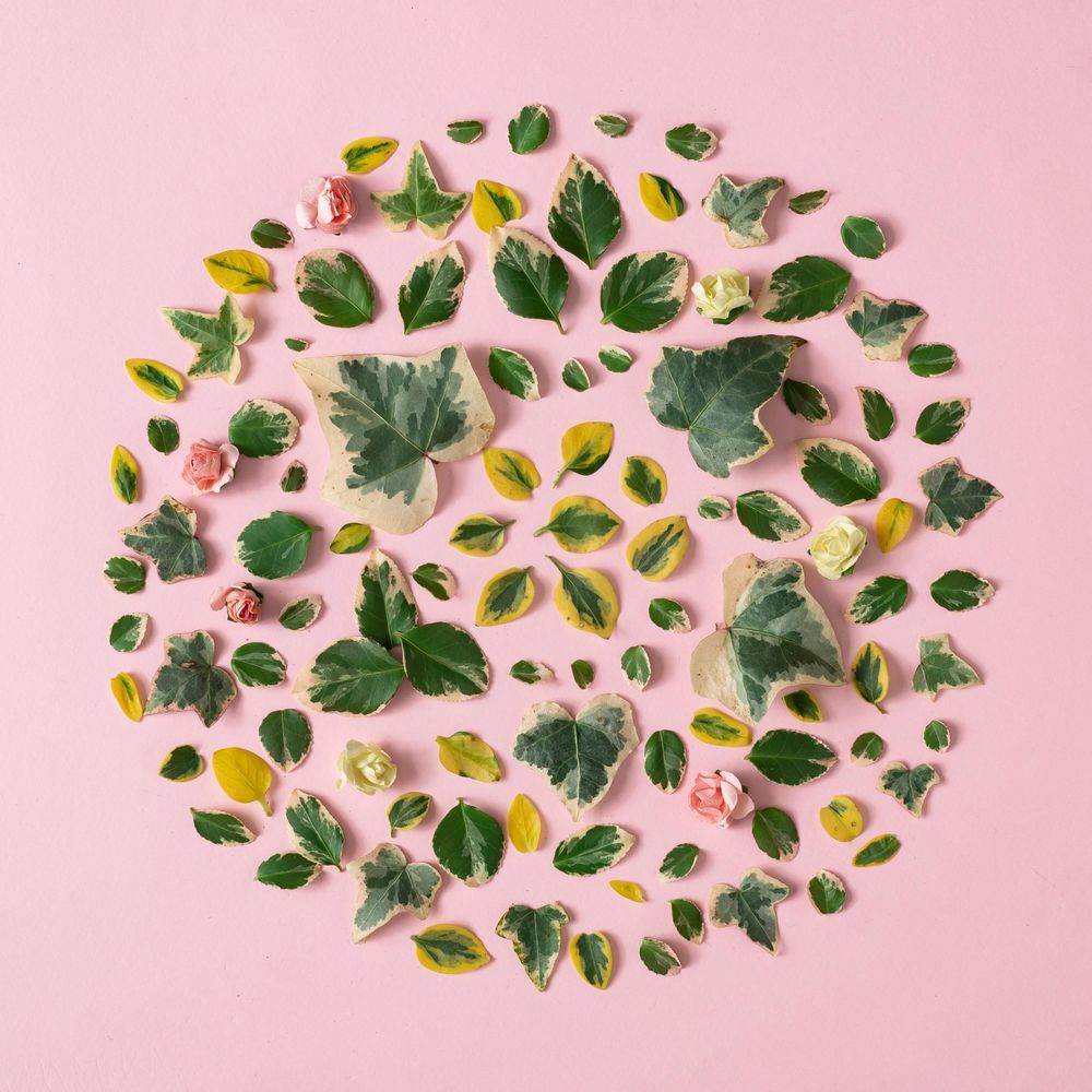 Green and yellow leaves in circle on pink background