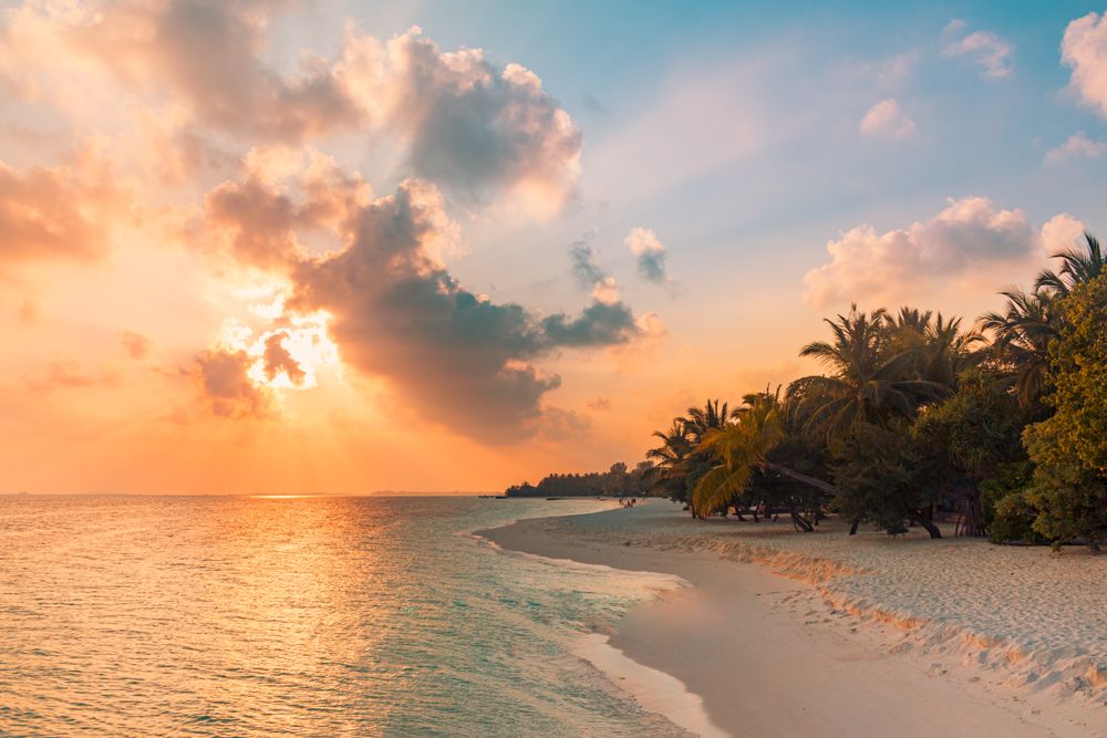 Blue and peach colored sky at dusk from a sandy beach with palm trees