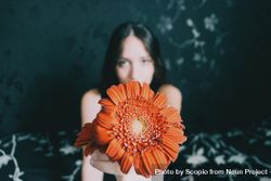 Studio portrait of woman with blue eyes holding a gerbera flower 5ooZx5