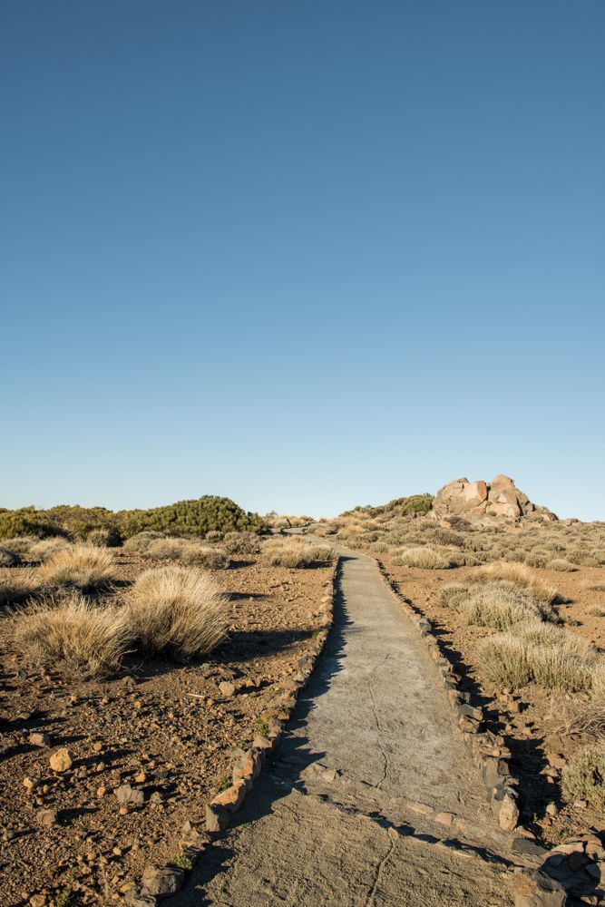 Small walkway in desert