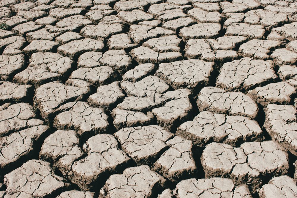 Cracks on dry ground