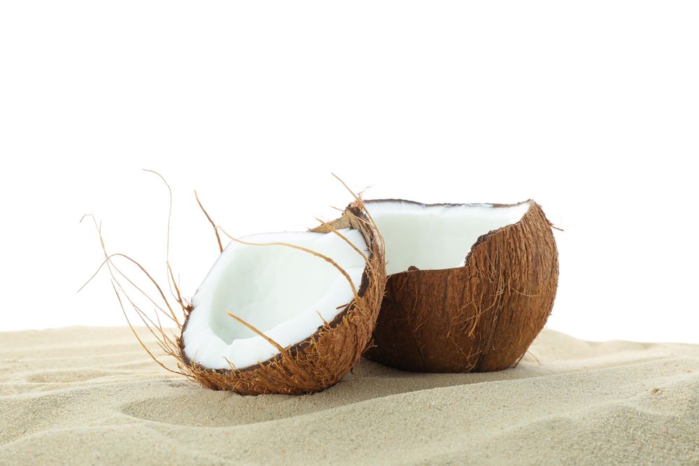 Coconuts on clear sea sand isolated on plain background. Summer vacation