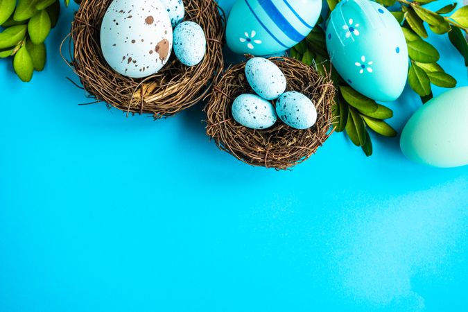 Easter holiday card with eggs in nest next to branches on bright blue background