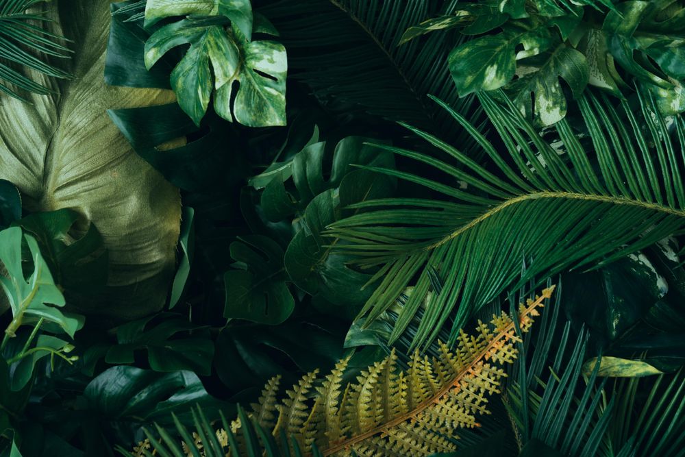 Creative layout made of tropical leaves
